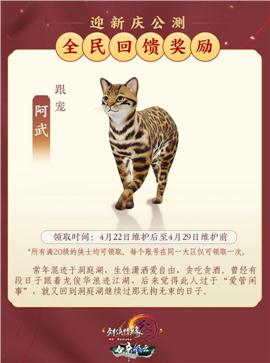 私服天龙八部密码不对